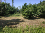 Satılır 7 sot torpaq Qax