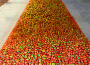 Satılır 260 sot torpaq Salyan