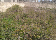 Satılır 7 sot torpaq Bakıxanov