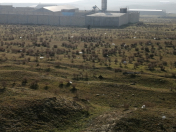 Satılır 26 sot torpaq Mehdiabad