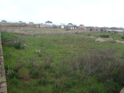 Satılır 6500 sot torpaq Xızı