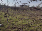 Satılır 22 sot torpaq Görədil