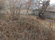 Satılır 6 sot torpaq Qəbələ