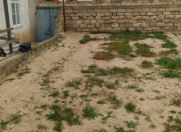 Satılır 30 sot torpaq Bilgəh