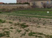 Satılır 30 sot torpaq Bilgəh