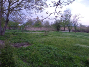 Satılır 20 sot torpaq Qəbələ