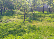 Satılır 6 sot torpaq Qəbələ