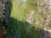 Satılır 5 sot torpaq Masazır