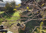 Satılır 5 sot torpaq Əhmədli