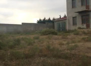 Satılır 14 sot torpaq Novxanı