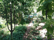 Satılır 4 otaqlı 100 m2 həyət evi Şağan