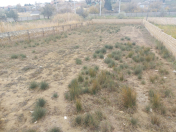 Satılır 13 sot torpaq Novxanı