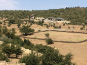 Satılır 10 sot torpaq Siyəzən