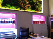 İcarəyə verilir 3 otaqlı 70 m2 ofis 28 May m.