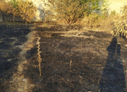 Satılır 4 sot torpaq Binə