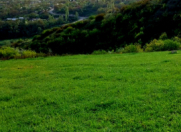 Satılır 30 sot torpaq Şamaxı