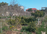 Satılır 30 sot torpaq Xəzər r.