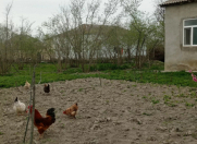 Satılır 5 otaqlı 124 m2 köhnə tikili Xaçmaz