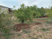 Satılır 15 sot torpaq Mehdiabad