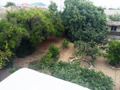 Satılır 4 sot torpaq Şüvəlan