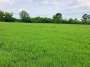 Satılır 25 sot torpaq Qəbələ