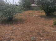 Satılır 6 sot torpaq Sumqayıt