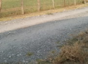 Satılır 24 sot torpaq Qəbələ