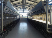 Satılır 8 otaqlı 300000 m2 obyekt Füzuli