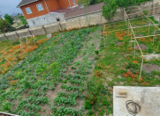 Satılır 3 otaqlı 110 m2 bağ evi Astara