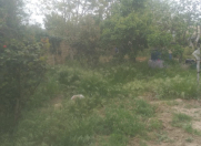 Satılır 3 sot torpaq Flame Towers