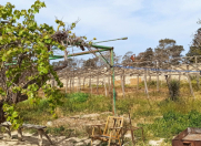 Satılır 14 sot torpaq Şüvəlan