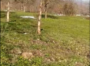 Satılır 20 sot torpaq Quba