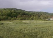 Satılır 36 sot torpaq Qusar