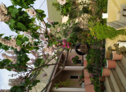 Satılır 6 otaqlı 300 m2 həyət evi Sulutəpə