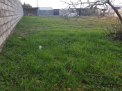 Satılır 11 sot torpaq Albalı