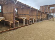 İcarəyə verilir 45 otaqlı 20000 m2 obyekt Pirşağı