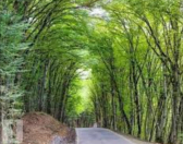 İcarəyə verilir 3 otaqlı 10.8 m2 yeni tikili Quba