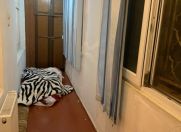 Satılır 5 otaqlı 100 m2 köhnə tikili 9 mkr