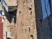 Satılır 6 sot torpaq Albalı