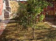 Satılır 5 otaqlı 270 m2 bağ evi Hövsan