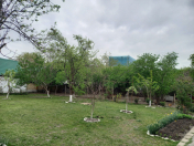 Satılır 11 sot torpaq Qəbələ