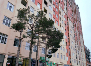 Satılır 3 otaqlı 105 m2 yeni tikili 8 km