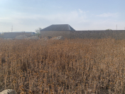 Satılır 20 sot torpaq Atyalı