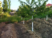 Satılır 7 sot torpaq Saray