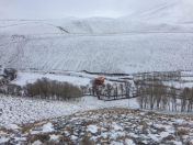 Satılır 12 sot torpaq Şamaxı