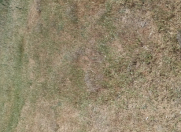 Satılır 10 sot torpaq Masazır