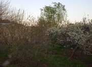 Satılır 8 sot torpaq Binəqədi