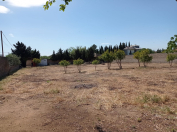 Satılır 20 sot torpaq Buzovna