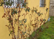 Satılır 4 otaqlı 130 m2 yeni tikili Saray