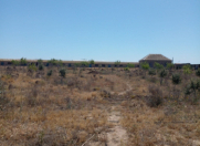 Satılır 2000 sot torpaq Zirə